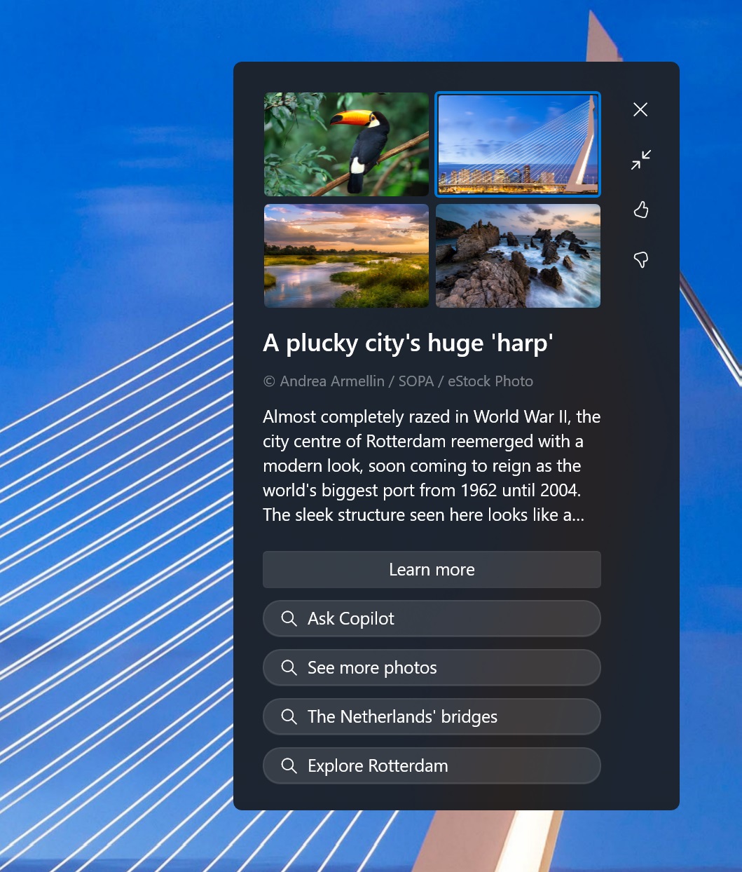 microsoft-is-trying-to-reduce-windows-11-s-desktop-spotlight-clutter